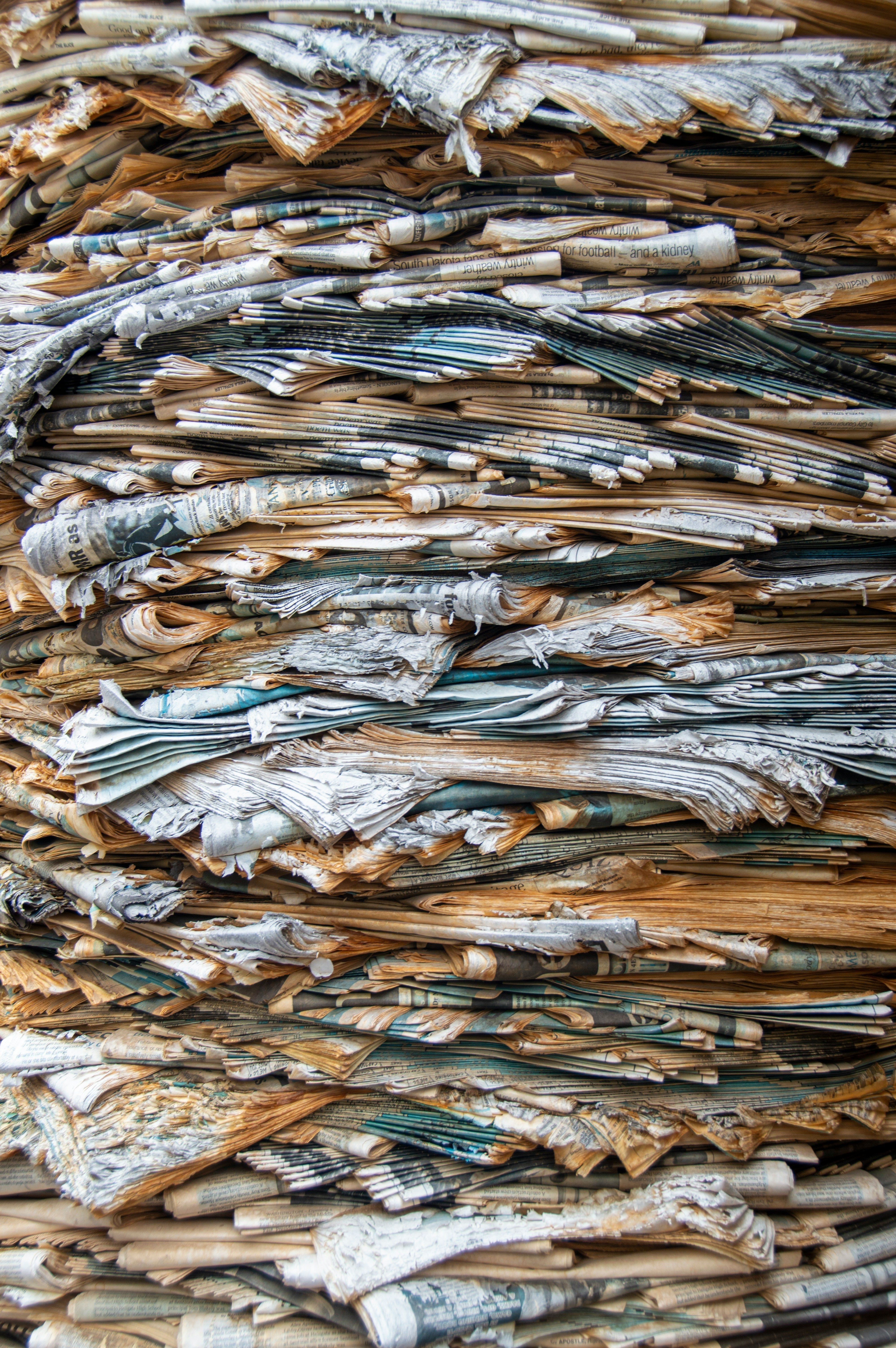 Why FSC-certified, recyclable wrapping paper and greeting cards matter for the planet