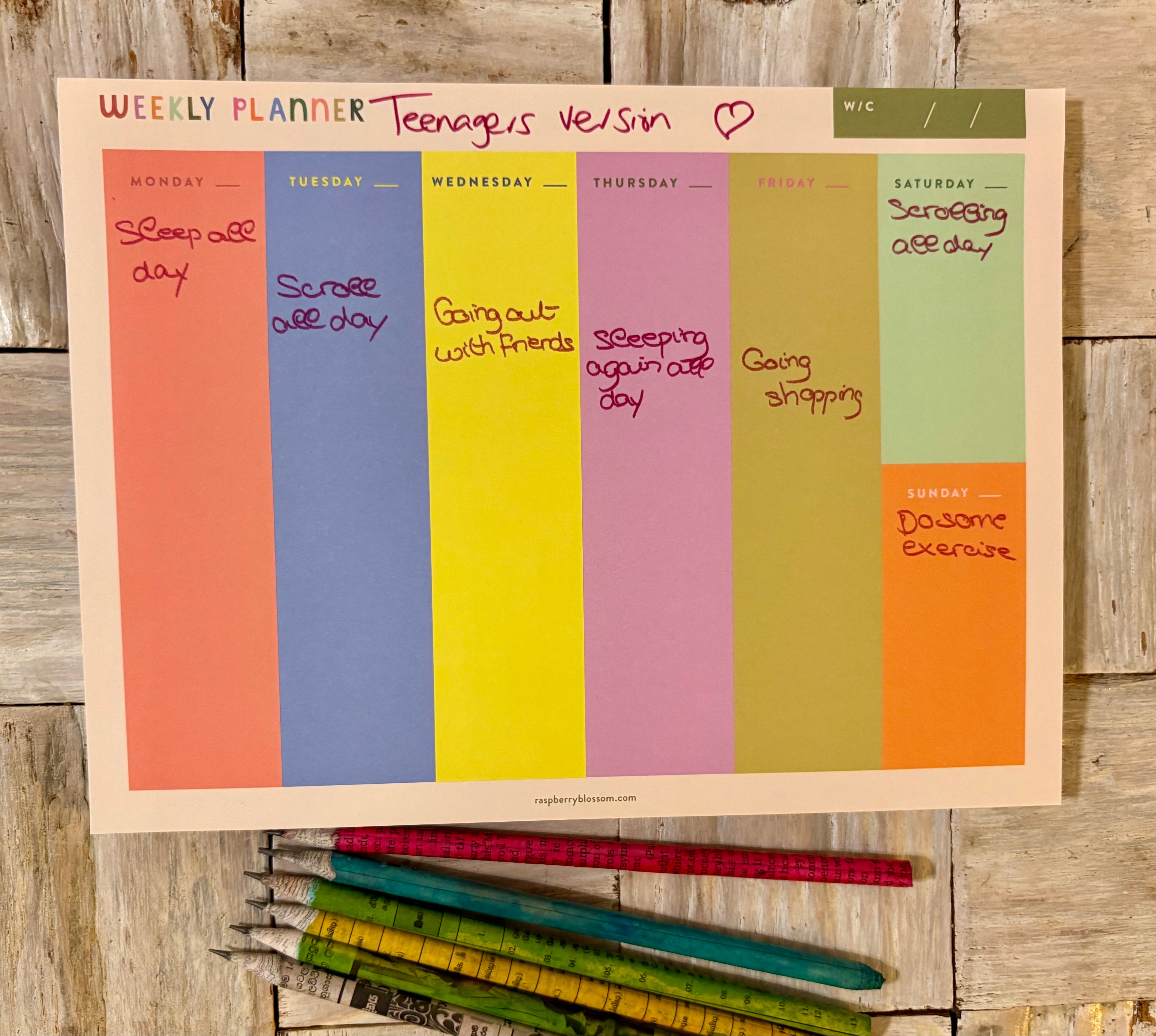 Gifts for teenagers available at The Life Cycle Design