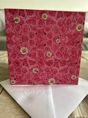 Pink rose & daisies greeting card. One card, blank inside