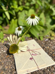 Handmade bougainvillea Lokta A5 paper and envelopes – luxuriously sustainable writing set