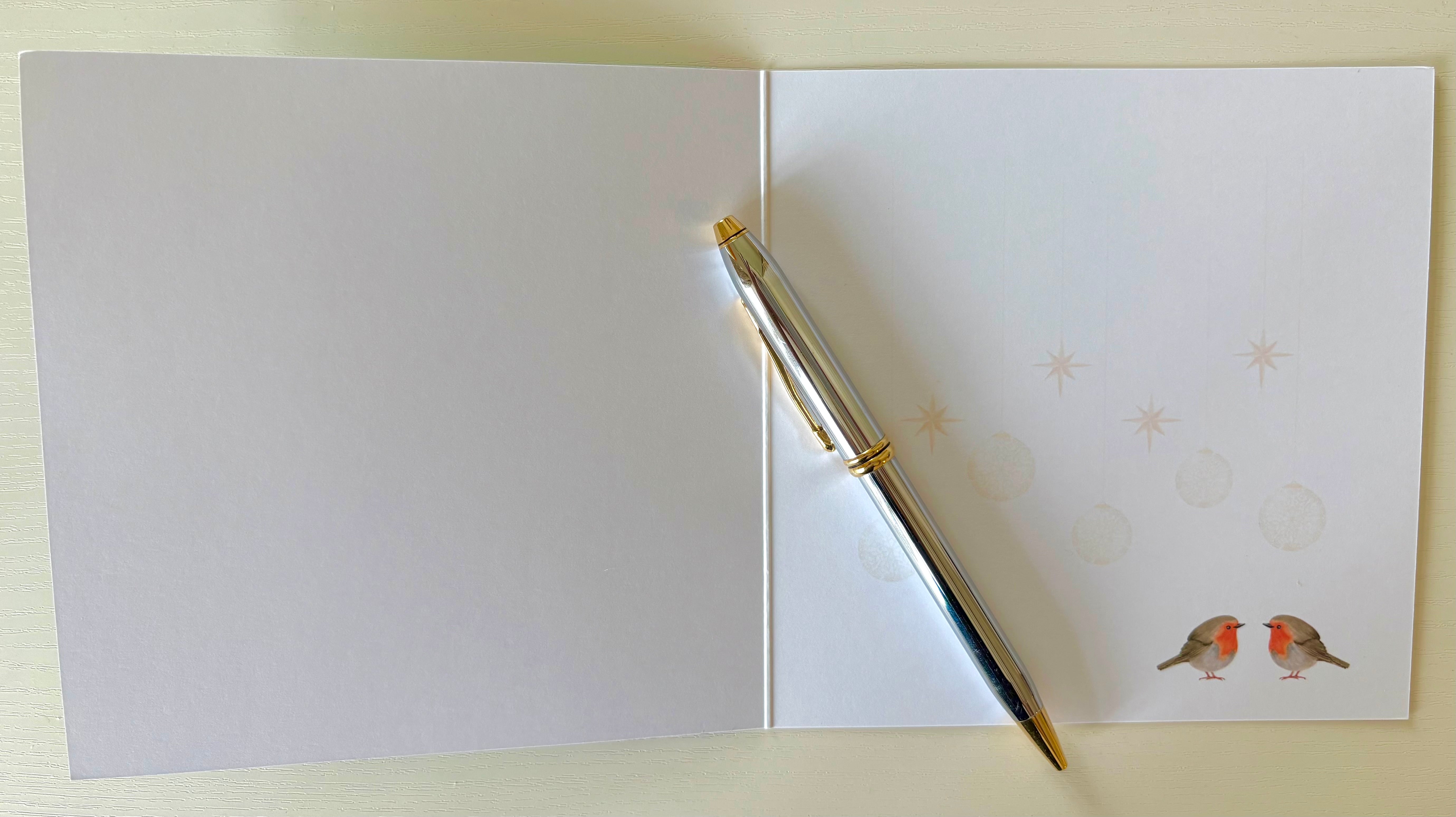 Retro Christmas card with robins. Eco-friendly with hand embossed envelope